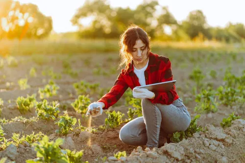 Agriculture