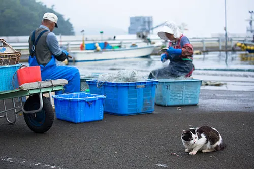Fisheries